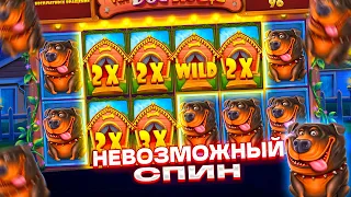 СПИН НА ПОЛМИЛЛИОНА! НЕВЕРОЯТНЫЙ ЗАНОС В THE DOG HOUSE MEGAWAYS! ЗАНОСЫ НЕДЕЛИ!