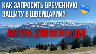 Как запросить временную защиту в Швейцарии | Украинцы в Швейцарии | Лагерь для беженцев