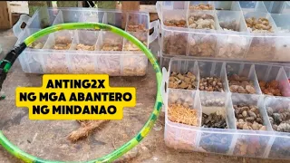 anting anting ng mga abantero sa guerra noon Dito sa mindanao