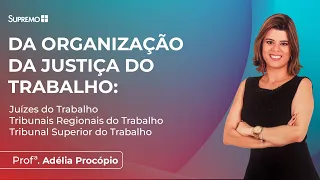 ORGANIZAÇÃO DA JUSTIÇA DO TRABALHO | Profª. Adélia Procópio