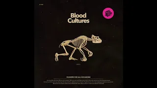 Blood Cultures - 'Flowers for All Occasions'