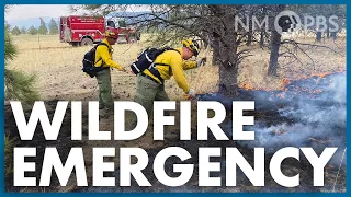 Wildfire Emergency | The Line
