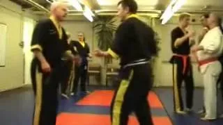 Jujitsu Jeet Kune Do MMA nerve point technique Dim Mak