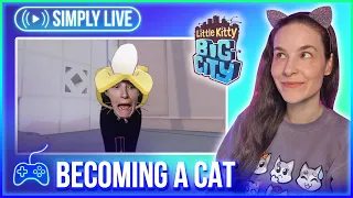 Finding My Real Family (2/?) 🐈 🔴LIVE - Little Kitty Big City