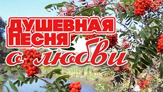 ДУШЕВНАЯ ПЕСНЯ О ЛЮБВИ | Рок Острова - Тонкая рябина