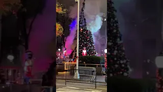 Fox News Vows to Rebuild After 'All-American Christmas Tree' Destroyed by Fire