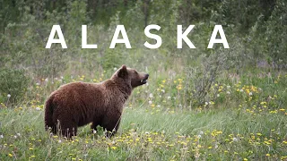 Alaska - The Last Frontier | 4K Ultra HD| Free Documentary with Scenic Relaxation with Nature Lover|