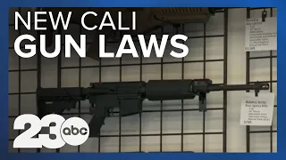 California's new landmark gun laws will hold providers of guns legally accountable