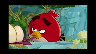 Angry bird toons eggs sounds 😂😂😂🤣🤣