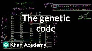 The genetic code