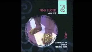 Pink Floyd - ''Shine On You Crazy Diamond'' Live at Omni 1987