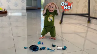 Monkey Max scared runaway after breaking Dad things