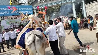 ಭಾರತೀ ಕಾಲೇಜು ನಲ್ಲಿ ನಡೆದ ಸಂಕ್ರಾಂತಿ ಸಂಭ್ರಮ ಕಾರ್ಯಕ್ರಮ.