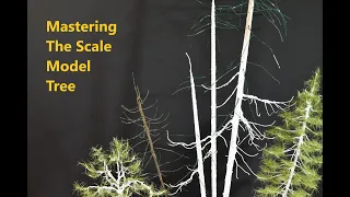 HO Scale Model Tree | Defining Tree Character: Part 2