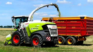 GPS Hakselen met Claas Jaguar 950. Loonbedrijf: Sportel Midwolda.