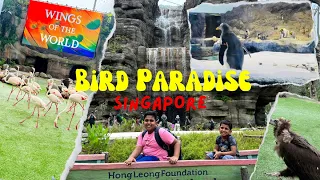 Exploring Mandai Bird Paradise in Singapore | Asia’s Largest Bird Park ! [4K]