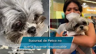 Mujer denuncia que personal de Petco le cortó el ojo a su perrita