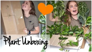 Houseplant Unboxing | Indoor Plant Haul | Groen in Huis Online Plant Shop