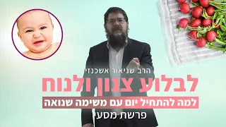 הרב שניאור אשכנזי - פרשת מסעי • לבלוע צנון: למה להתחיל את היום במשימה שלא אוהבים?