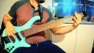 Disco Ulysses - Vulfpeck Cover || Bass Progression: 1016 Hours