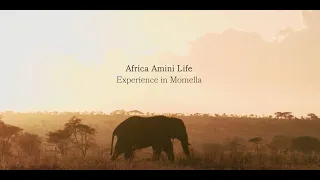 Africa Amini Life - Experience in Momella (Tanzania)
