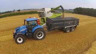 Claas 750 harvesting barley