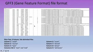 Bioinformatics Lecture15: Genome Annotation: Genetic Element Prediction