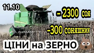 Ціни на зерно 11.10! Соя обвал, соняшник -300, кукурудза і пшениця ріст. Може краще гірчиця?