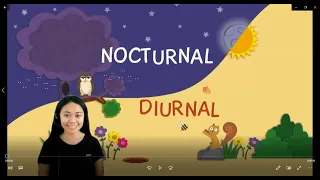 Nocturnal and Diurnal Animals | Grade 4-6 Science | T. Ann