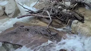 Nature Adventure Hike & Climb to Forest Falls California 👦👍🌲🏞🧗⛰️