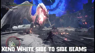 Xeno White Fatalis Differences and Details