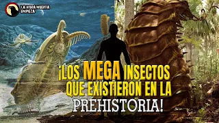 Los MEGA Insectos de la prehistoria