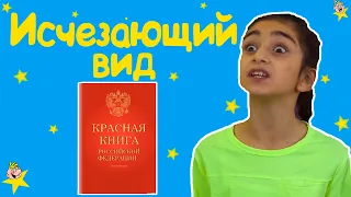 "Исчезающий вид" - Весёлые истории от Студии Звёзд!