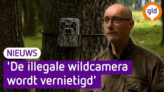 Wildcamera's verstoren leefgebied dieren: boswachters maken zich zorgen