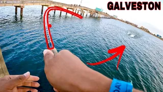 Fish Almost PULLS ROD Out of My HANDS! ( Galveston, TX )