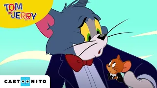 Шоуто на Том и Джери | Икономът Том | Cartoonito