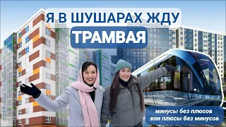 Шушары: минусы без плюсов или плюсы без минусов