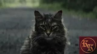 Kings of King: Pet Sematary (2019)