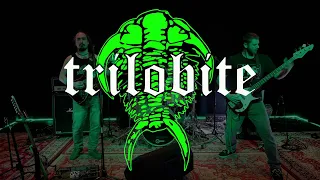 Tazma Live Session 015 - Trilobite