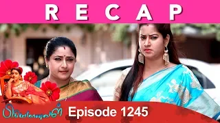 RECAP : Priyamanaval Episode 1245, 18/02/19