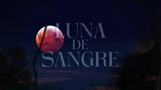 Mägo de Oz - Luna de sangre (Lyric Video Oficial)