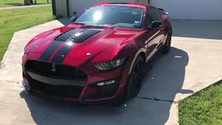 Getting to know the 2020 Shelby GT500