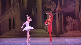 Адажио из балета "Щелкунчик". Анастасия Шевцова и Филипп Аржанов.