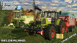 Harvesting SILAGE with CLAAS and MENGELE | Animals on Gelderland | Farming Simulator 22 | Episode 7