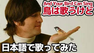 【ビートルズ】鳥は歌うけど（And Your Bird Can Sing）【日本語で歌ってみた】