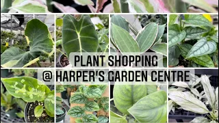 Plant shopping @ Harper's Garden Centre ( Hoya and uncommon plants)