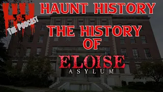 Haunt History: The History Behind The Eloise Asylum