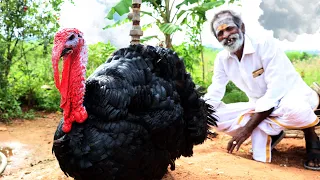 YUMMY!!! TURKEY Gravy prepared by my Daddy Arumugam / Village food factory