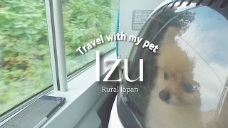 What's it like having dogs in Japan? | Living Alone in Tokyo | Rural Japan Onsen