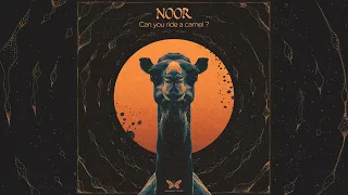 Noor - Can You Ride a Camel? [Full Album]
